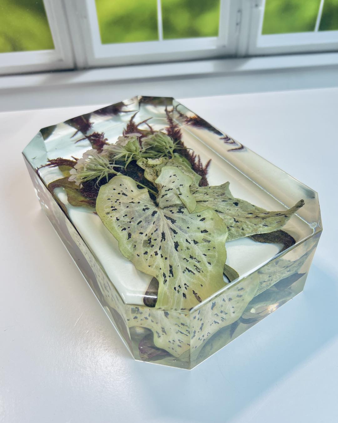 Cut Edge Rectangle Block