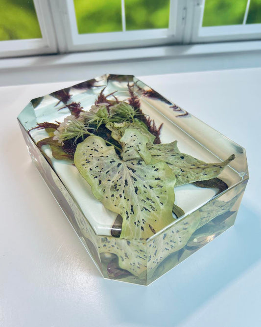 Cut Edge Rectangle Block